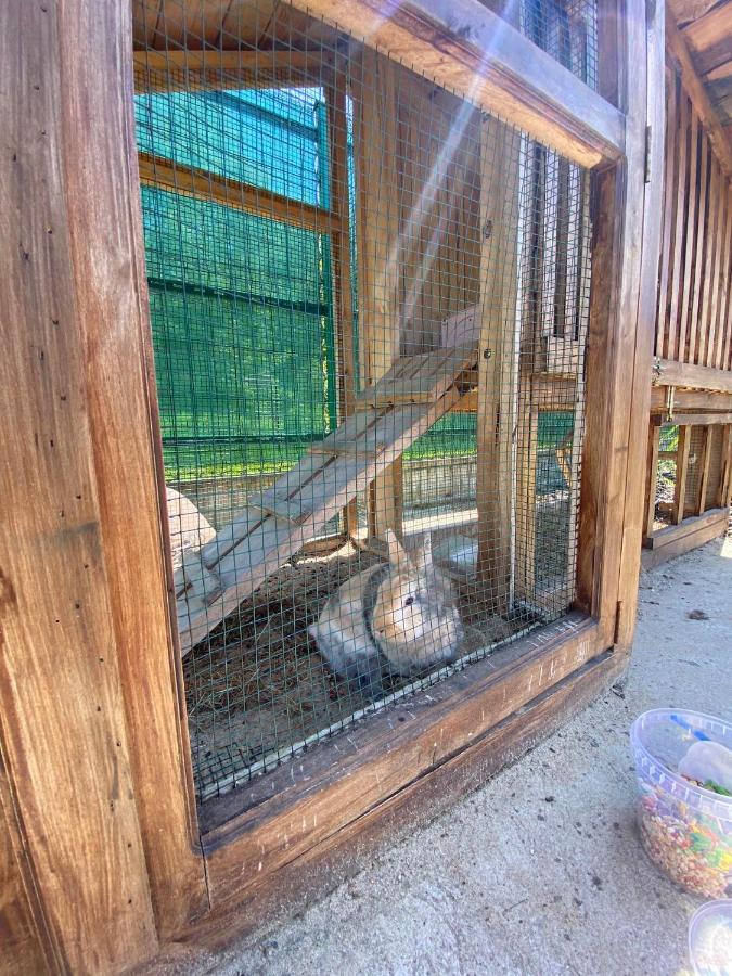 Vila Wypoczynek Letnia Oaza Sobienie Jeziory Exteriér fotografie